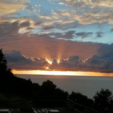 Coin De Paradis Vue Dominante Sur Mer, Montagne Et Tour Genoise Avec Jacuzzi Pino المظهر الخارجي الصورة