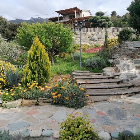 Coin De Paradis Vue Dominante Sur Mer, Montagne Et Tour Genoise Avec Jacuzzi Pino المظهر الخارجي الصورة