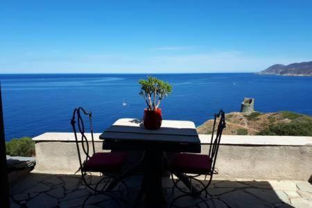 Coin De Paradis Vue Dominante Sur Mer, Montagne Et Tour Genoise Avec Jacuzzi Pino المظهر الخارجي الصورة