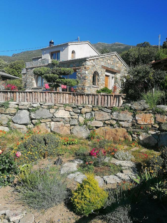 Coin De Paradis Vue Dominante Sur Mer, Montagne Et Tour Genoise Avec Jacuzzi Pino المظهر الخارجي الصورة
