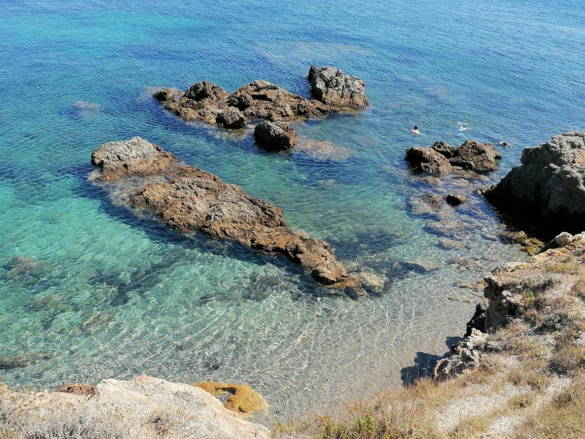 Coin De Paradis Vue Dominante Sur Mer, Montagne Et Tour Genoise Avec Jacuzzi Pino المظهر الخارجي الصورة