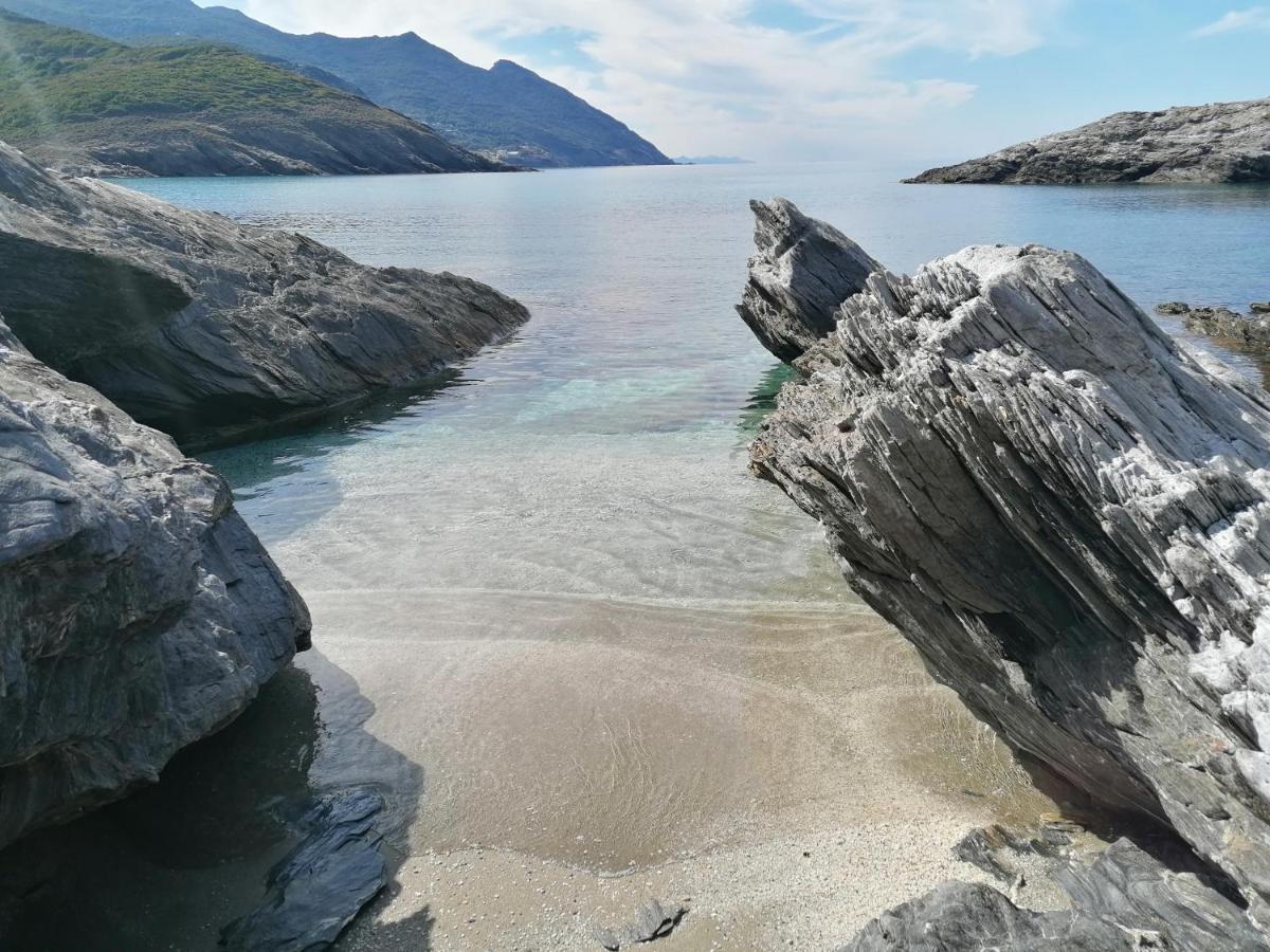 Coin De Paradis Vue Dominante Sur Mer, Montagne Et Tour Genoise Avec Jacuzzi Pino المظهر الخارجي الصورة