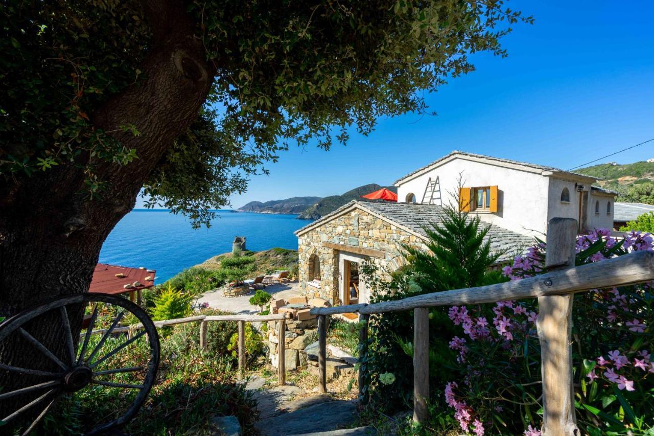 Coin De Paradis Vue Dominante Sur Mer, Montagne Et Tour Genoise Avec Jacuzzi Pino المظهر الخارجي الصورة