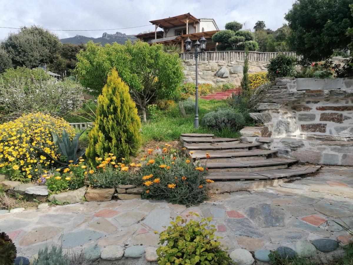 Coin De Paradis Vue Dominante Sur Mer, Montagne Et Tour Genoise Avec Jacuzzi Pino المظهر الخارجي الصورة